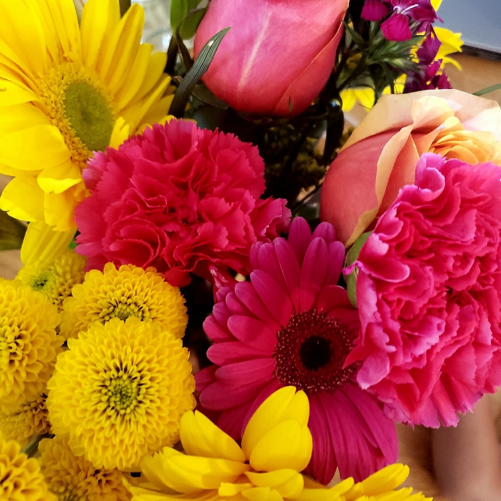 Meet your Posher, Marlena